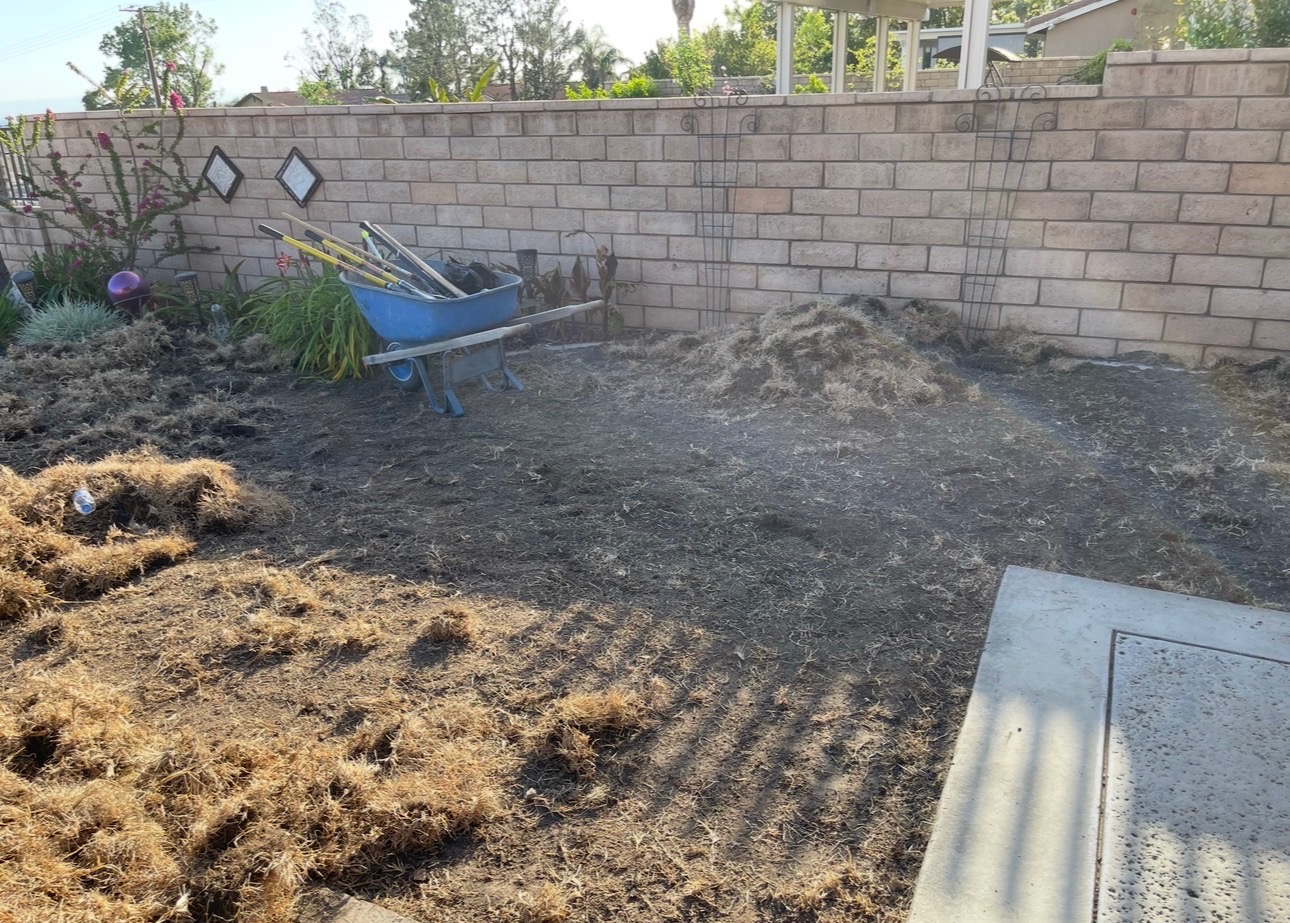 Dead grass and debris cleared and hauled away by Royce Professional Services